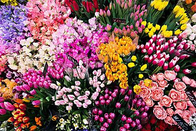 全新沙盒Roguelike冒险之旅《Dino Topia》试玩版于 Steam 上线！